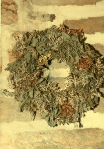scan0001.tif
