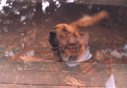 scan0003.tif