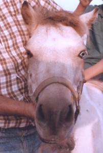 scan0001.tif