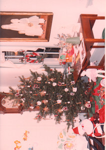 scan0008.tif