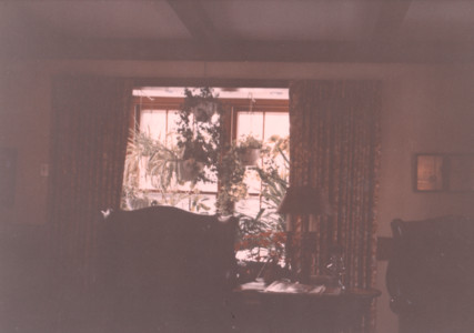scan0004.tif