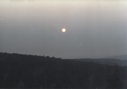 scan0001.tif