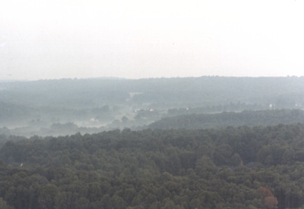 scan0003.tif