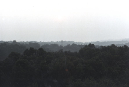 scan0012.tif