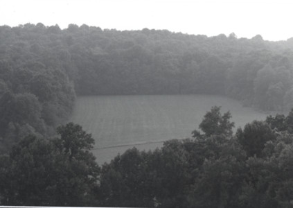 scan0013.tif