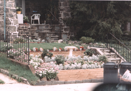 scan0001.tif