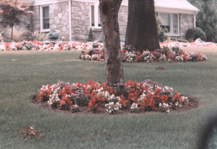 scan0002.tif