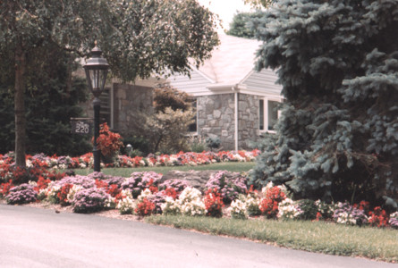 scan0004.tif