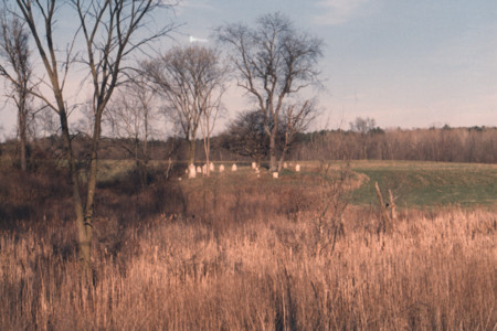 scan0003.tif
