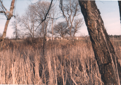 scan0005.tif