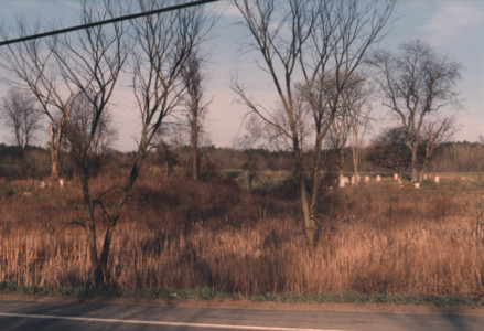scan0006.tif