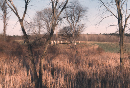 scan0007.tif