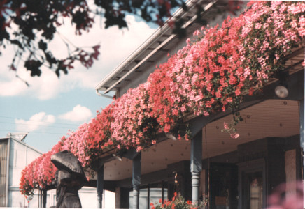 scan0006.tif