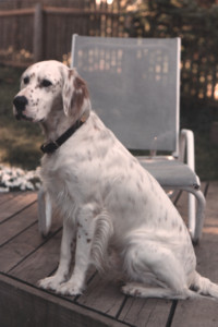 scan0007.tif