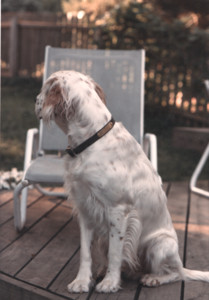 scan0008.tif