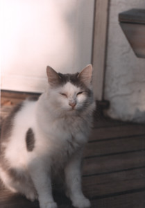 scan0010.tif