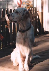 scan0012.tif