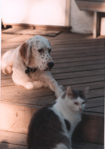 scan0013.tif
