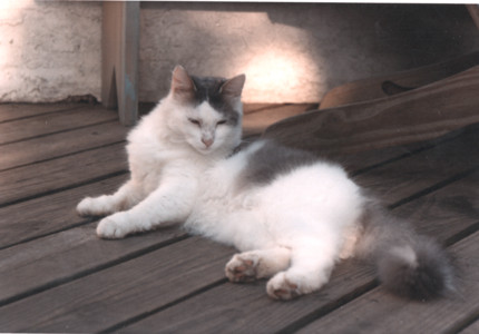 scan0014.tif